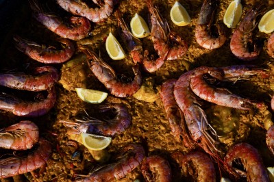 Trois bouteilles de vin posées sur un sol herbeux, entourées de fleurs blanches et jaunes.