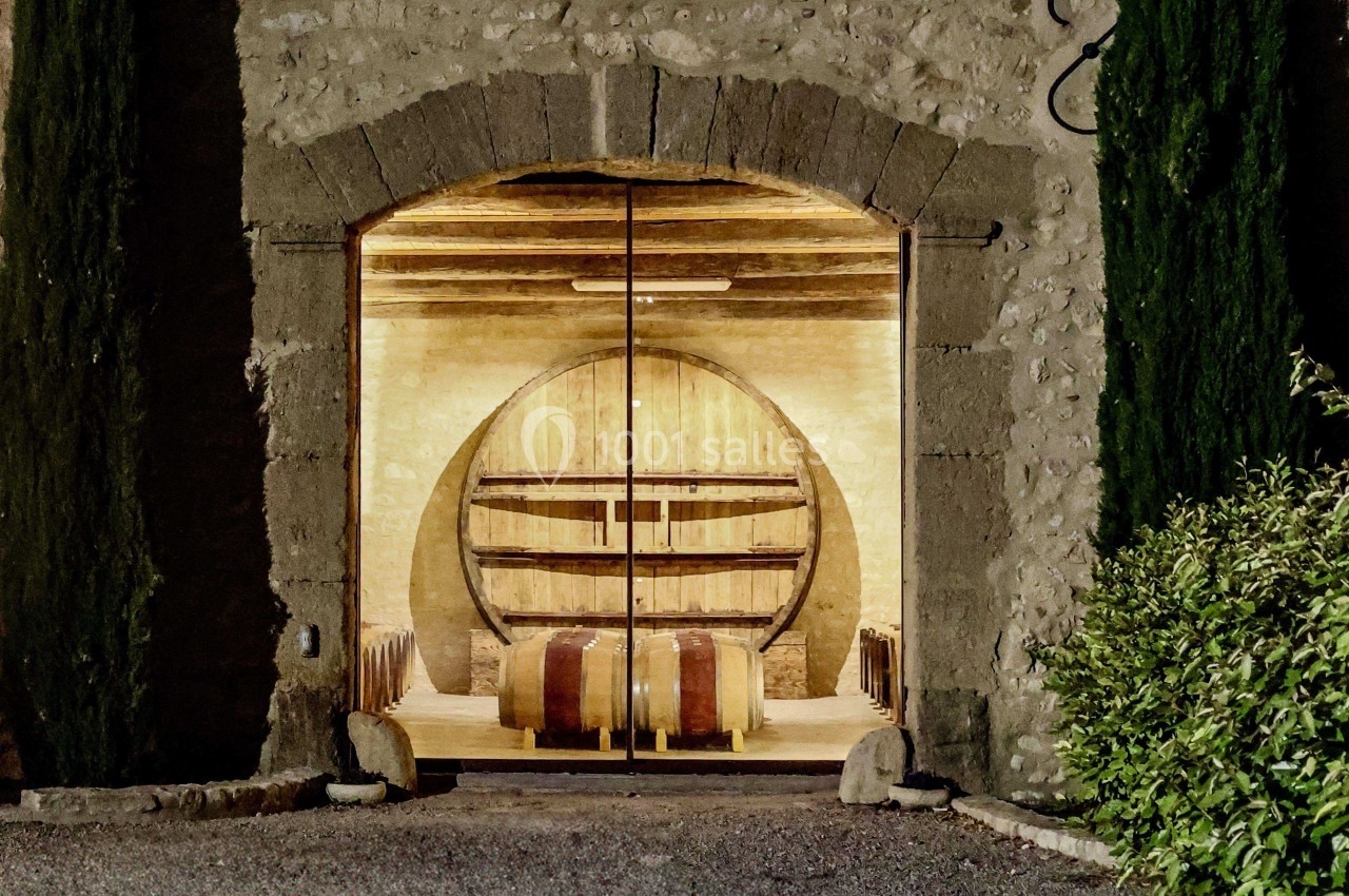 Entrée voûtée en pierre donnant sur une cave éclairée avec des tonneaux de vin et une grande barrique en bois.