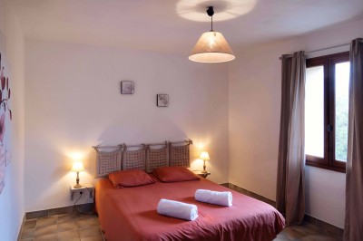 Trois bouteilles de vin posées sur un sol herbeux, entourées de fleurs blanches et jaunes.