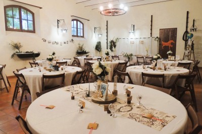 Trois bouteilles de vin posées sur un sol herbeux, entourées de fleurs blanches et jaunes.