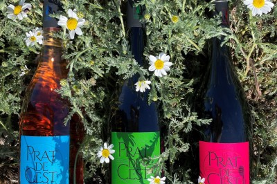 Trois bouteilles de vin posées sur un sol herbeux, entourées de fleurs blanches et jaunes.