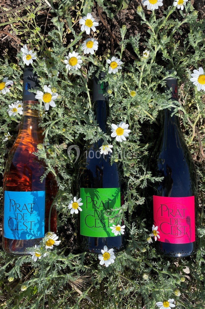Trois bouteilles de vin posées sur un sol herbeux, entourées de fleurs blanches et jaunes.