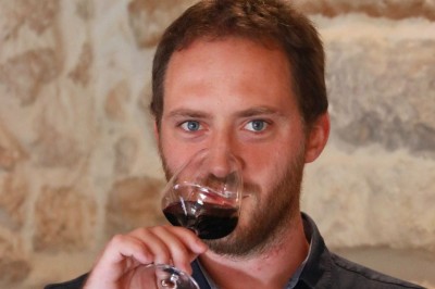 Trois bouteilles de vin posées sur un sol herbeux, entourées de fleurs blanches et jaunes.