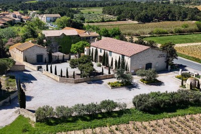 Trois bouteilles de vin posées sur un sol herbeux, entourées de fleurs blanches et jaunes.