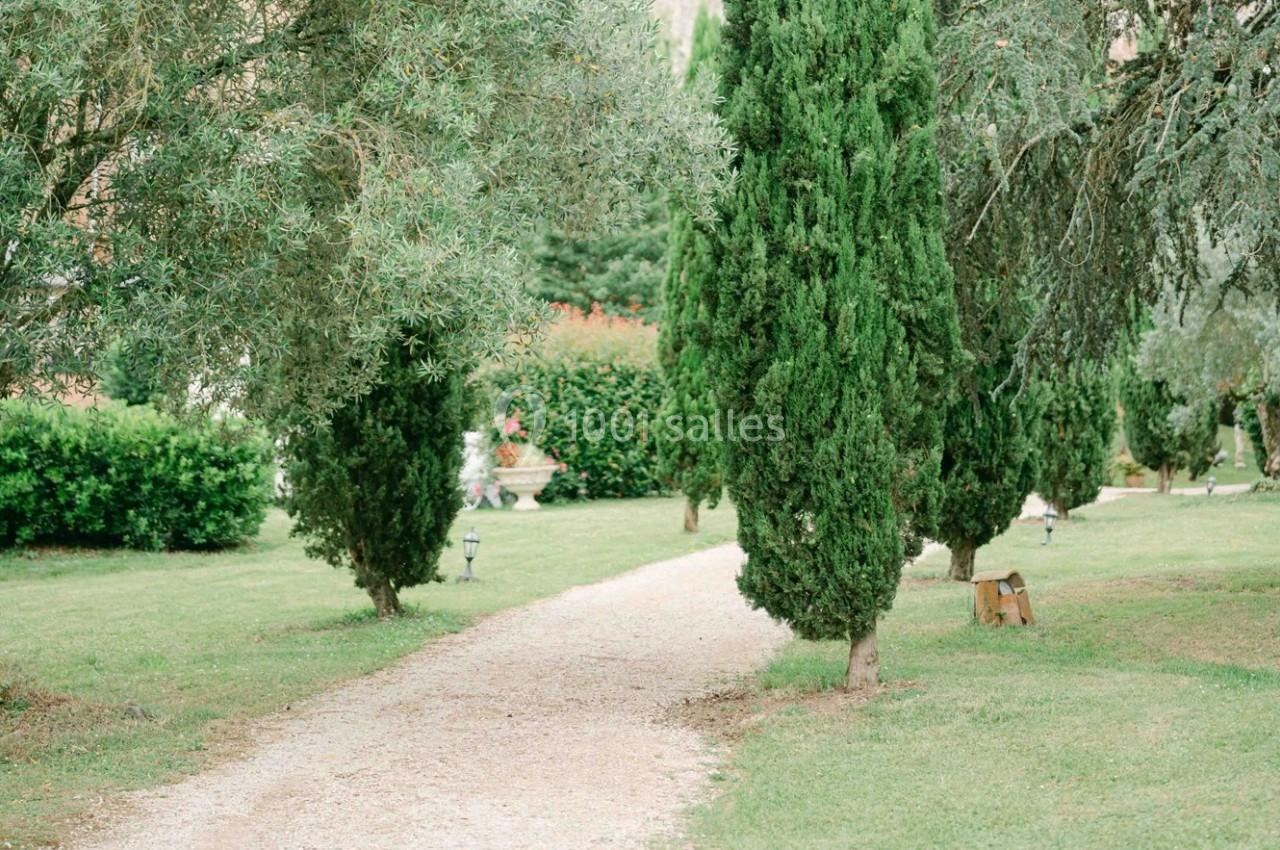 Allée bordée de cyprès et d'oliviers dans un jardin verdoyant, avec un banc en bois sur le côté.