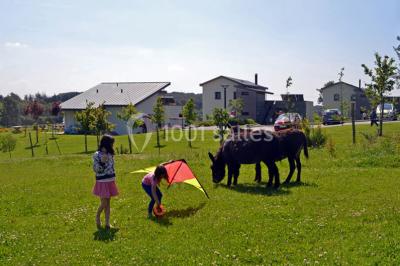 Location salle Baden (Morbihan) - Les Hauts de Toulvern #23