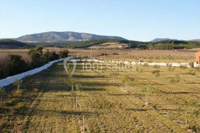 Location salle Cases-de-Pène (Pyrénées-Orientales) - Domaine Cayrol #20
