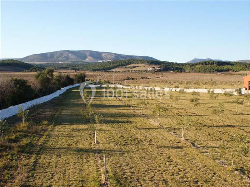 Location salle Cases-de-Pène (Pyrénées-Orientales) - Domaine Cayrol #16