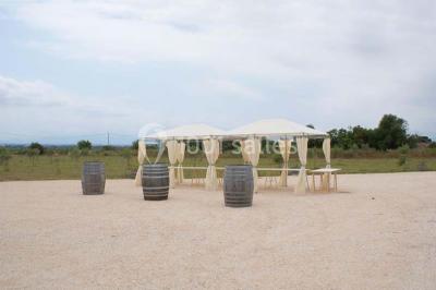 Location salle Cases-de-Pène (Pyrénées-Orientales) - Domaine Cayrol #20