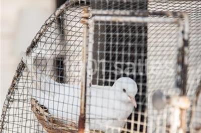 Location salle Bois-Colombes (Hauts-de-Seine) - Le Clos Des Colombes #22