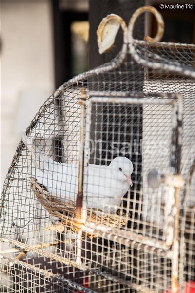 Location salle Bois-Colombes (Hauts-de-Seine) - Le Clos Des Colombes #2