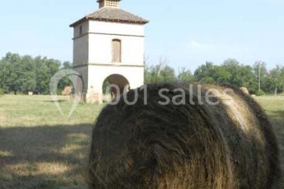 Location salle Nègrepelisse (Tarn-et-Garonne) - Manoir des Barrayrous #5