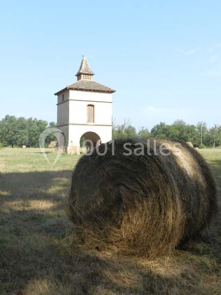 Location salle Nègrepelisse (Tarn-et-Garonne) - Manoir des Barrayrous #5