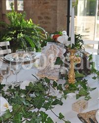 Location salle Magnac-sur-Touvre (Charente) - Château de Maumont #7