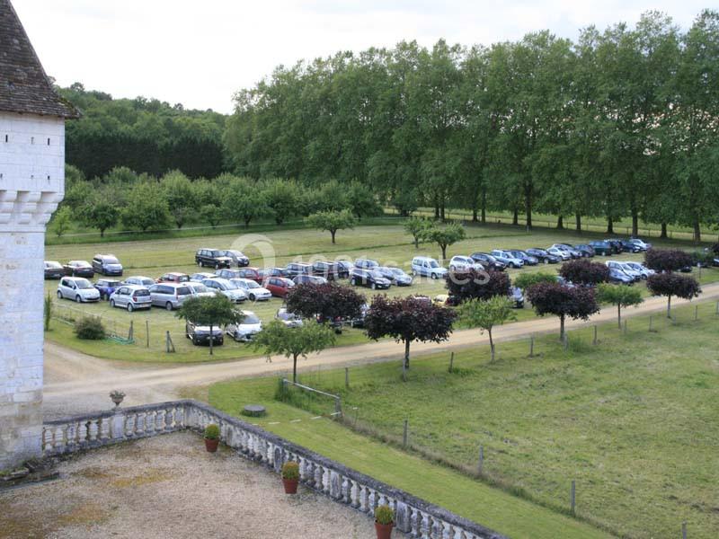 Parking extérieur sur une pelouse, bordé d'arbres et de buissons, avec plusieurs voitures stationnées.