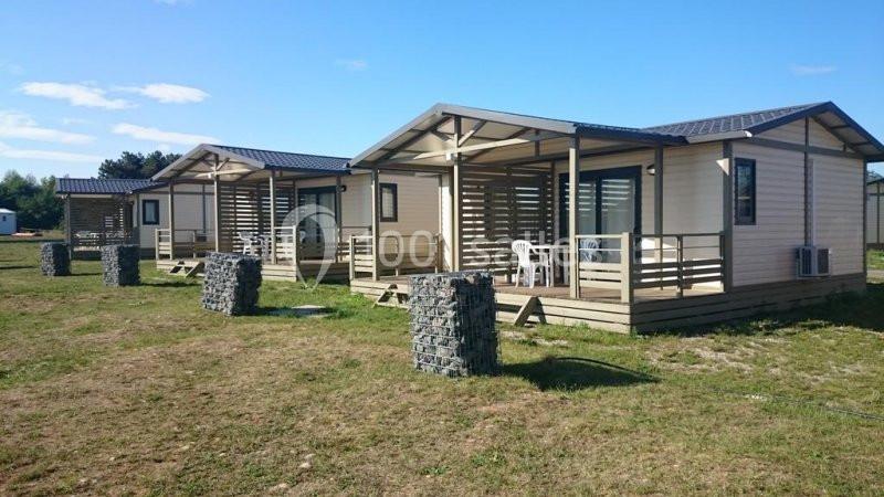 Trois mobil-homes alignés avec terrasses en bois, situés sur un terrain herbeux sous un ciel dégagé.