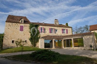 Saveurs & Emotions Saveurs & Emotions