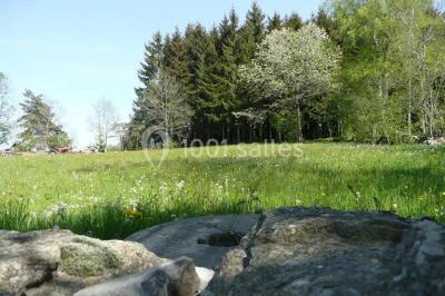 Location salle Yssingeaux (Haute-Loire) - Domaine Des Saveurs D'antan, La Pervenchère #22