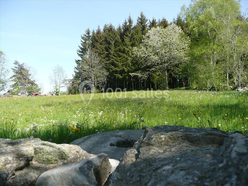 Location salle Yssingeaux (Haute-Loire) - Domaine Des Saveurs D'antan, La Pervenchère #17