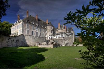 Location salle Meung-sur-Loire (Loiret) - Château de Meung Sur Loire #13