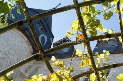 Location salle Beaugency (Loiret) - Château De Beaugency #9