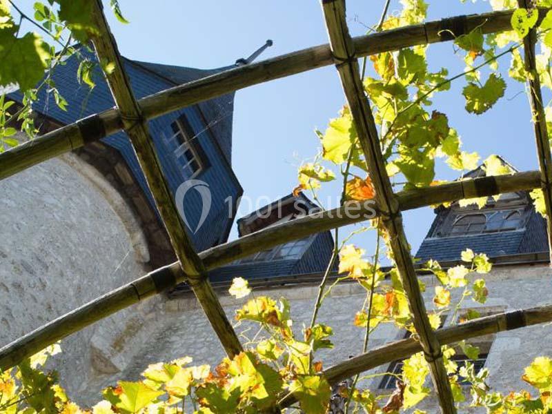 Location salle Beaugency (Loiret) - Château De Beaugency #5