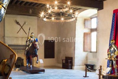 Location salle Beaugency (Loiret) - Château De Beaugency #9