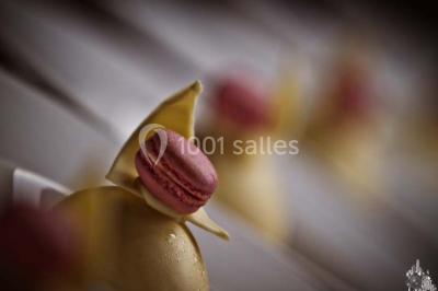 Location salle Castelnau-Rivière-Basse (Hautes-Pyrénées) - Château Montus #7