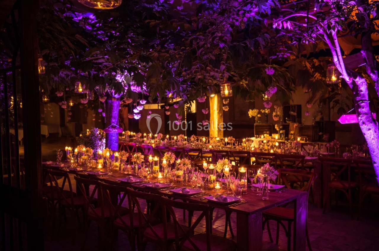 Tables décorées avec des fleurs et des bougies sous des arbres illuminés par des lumières violettes dans une ambiance…