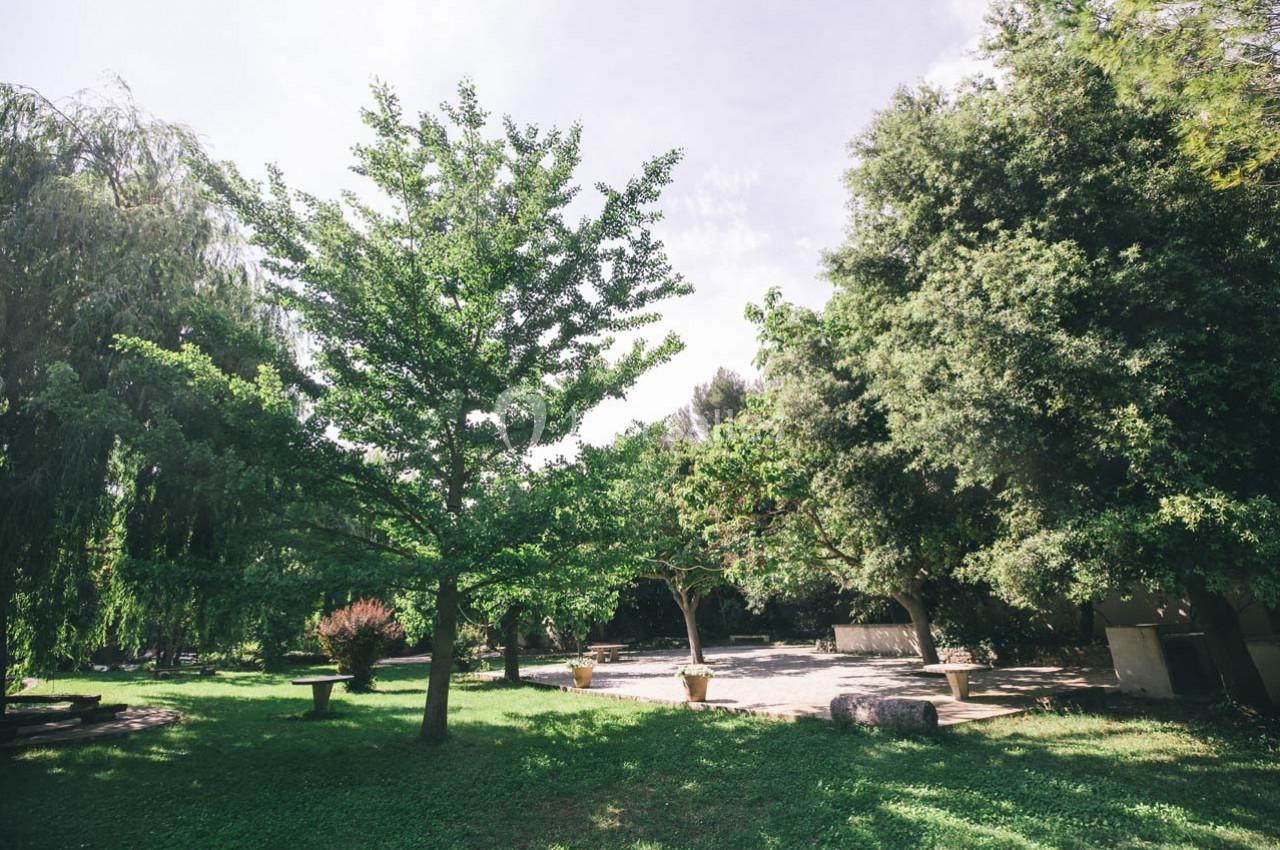 Un jardin arboré avec pelouse, arbres feuillus et quelques bancs sous une lumière naturelle.