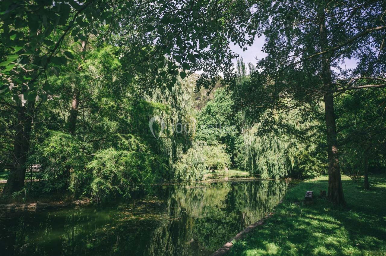 Étang entouré d'arbres et de végétation dense, reflétant le paysage verdoyant sous un ciel dégagé.