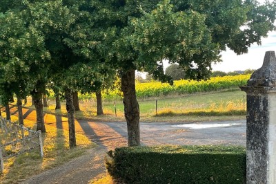 Miniature Location salle Marçay (Indre-et-Loire) - Château de Marcay #18 Chambre avec poutres apparentes, lit double, canapé beige, table basse en verre et murs décorés de papier peint.