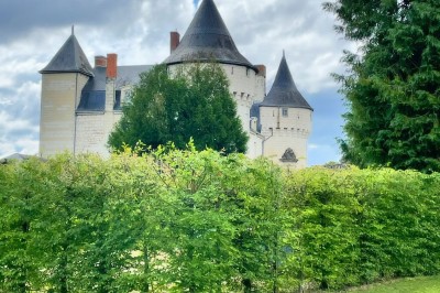 Miniature Location salle Marçay (Indre-et-Loire) - Château de Marcay #35 Chambre avec poutres apparentes, lit double, canapé beige, table basse en verre et murs décorés de papier peint.
