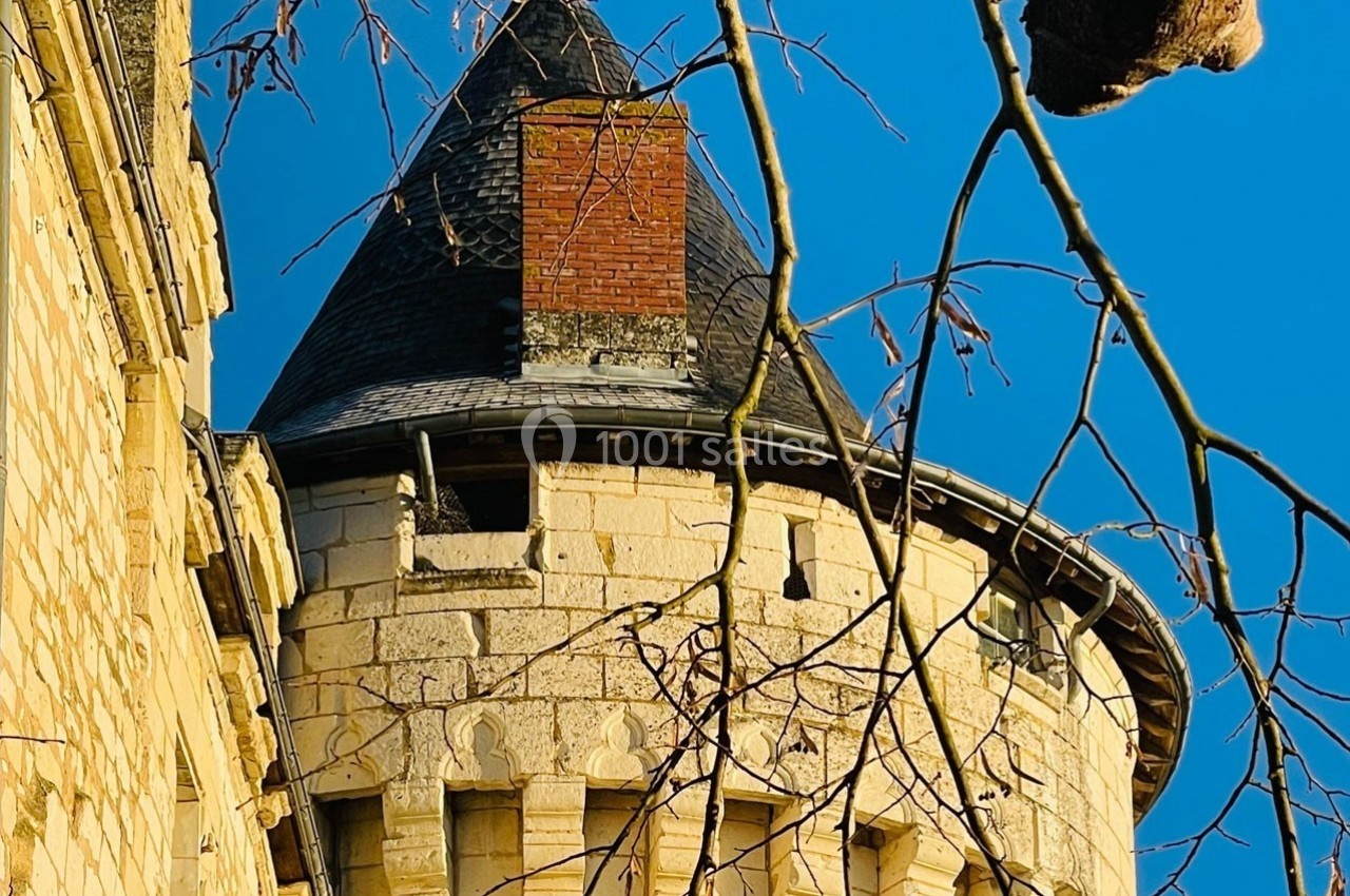Tour en pierre d'un château avec un toit conique, partiellement encadrée par des branches d'arbres nues.