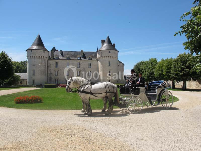 Calèche tirée par un cheval blanc devant un château en pierre entouré de pelouses et d'arbres.