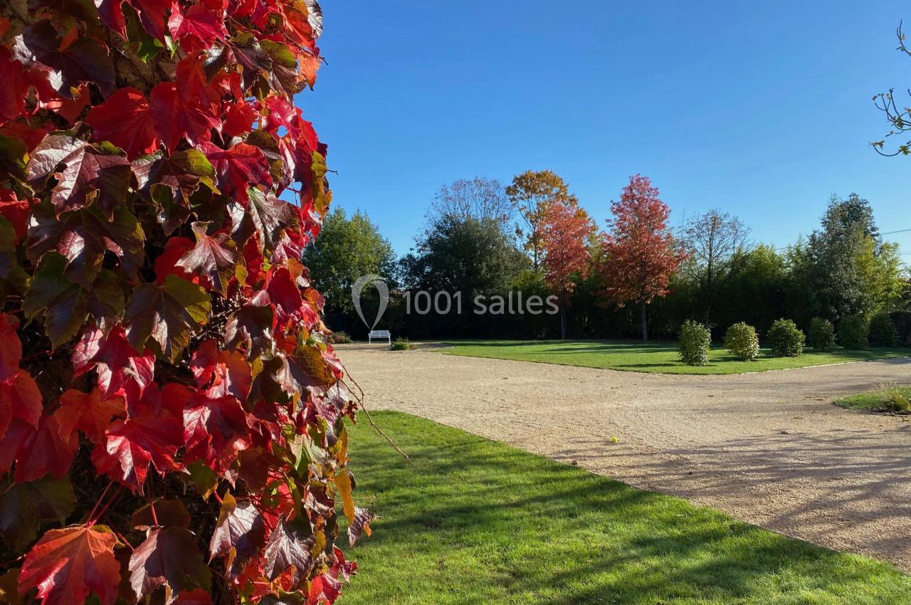 Feuillage rouge vif au premier plan, allée gravillonnée et arbres aux couleurs automnales sous un ciel bleu.