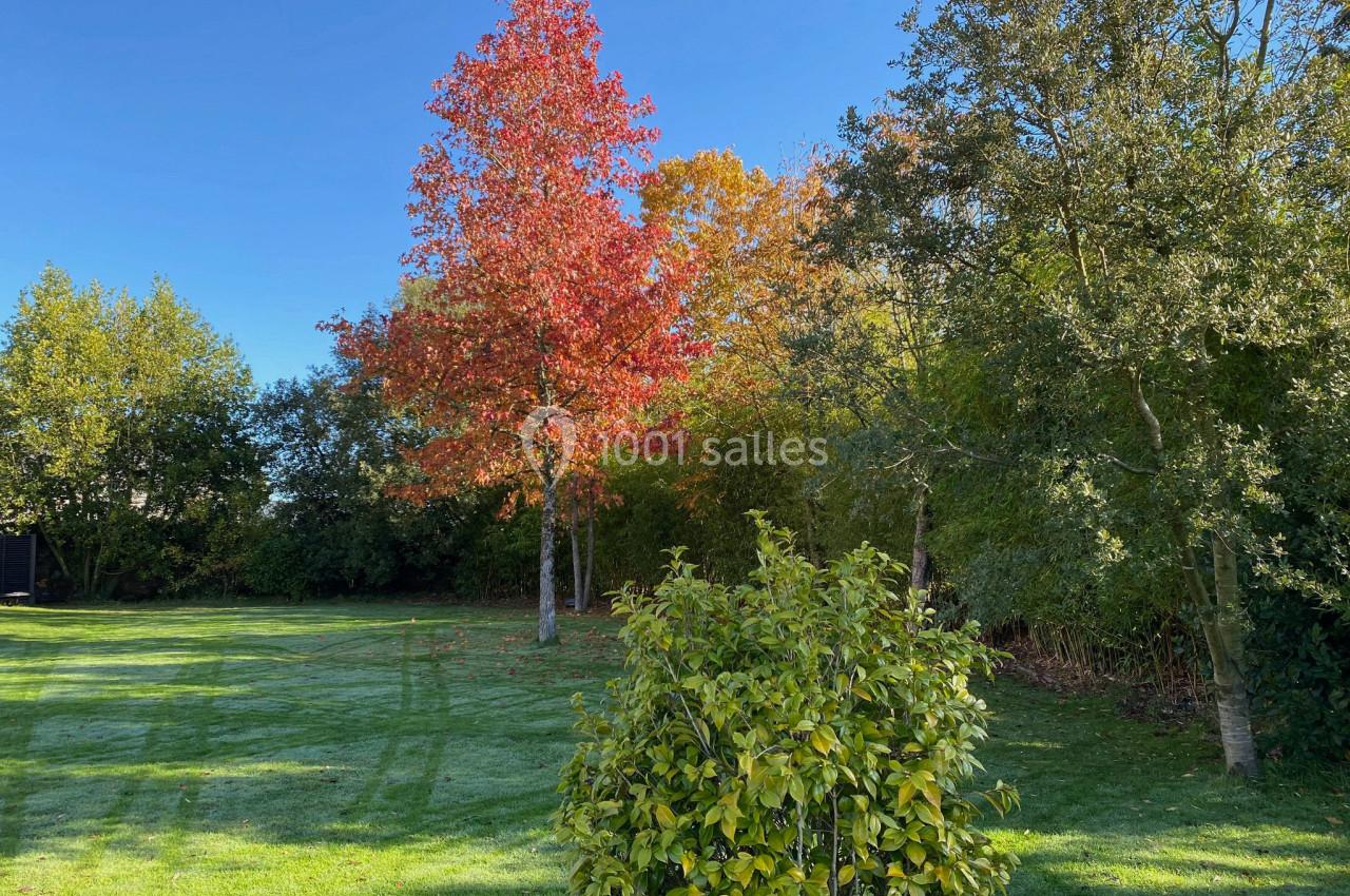Arbre aux feuilles rouges entouré de verdure dans un jardin ensoleillé avec pelouse et ciel bleu.