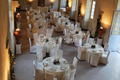 Location salle La Ferté-Saint-Aubin (Loiret) - Château De La Ferté #16