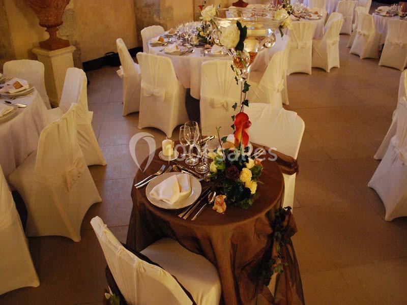 Location salle La Ferté-Saint-Aubin (Loiret) - Château De La Ferté #13