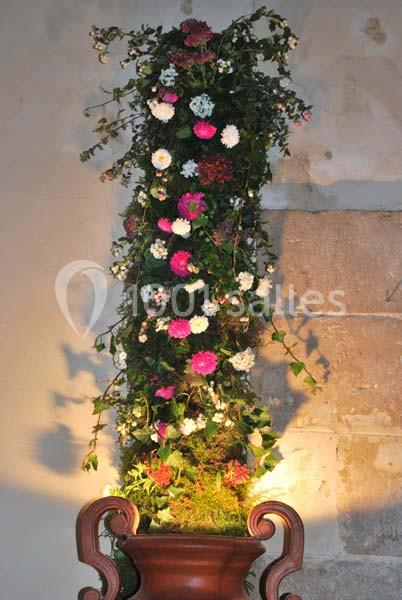 Location salle La Ferté-Saint-Aubin (Loiret) - Château De La Ferté #16