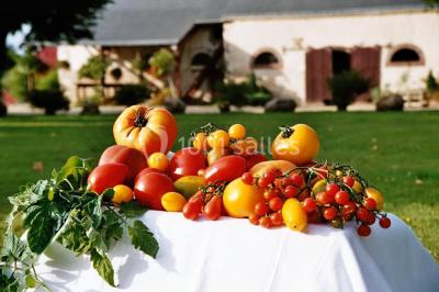 Location salle Braye-sur-Maulne (Indre-et-Loire) - Domaine De La Bergerie #19