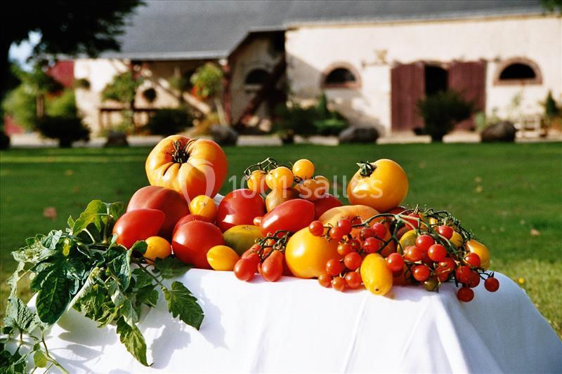 Location salle Braye-sur-Maulne (Indre-et-Loire) - Domaine De La Bergerie #12