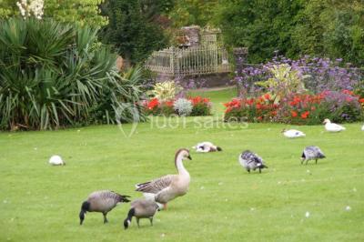 Miniature Location salle Mesnières-en-Bray (Seine-Maritime) - Château De Mesnières En Bray #17 Location salle Mesnières-en-Bray (Seine-Maritime) - Château De Mesnières En Bray #22