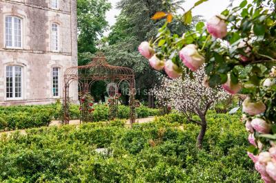 Bouquet de fleurs blanches et roses dans un pichet en terre cuite, posé dans une caisse en bois entourée de verdure.