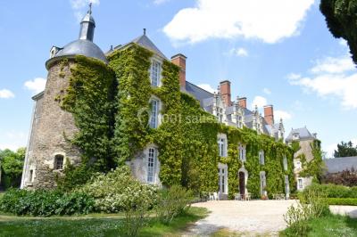 Bouquet de fleurs blanches et roses dans un pichet en terre cuite, posé dans une caisse en bois entourée de verdure.