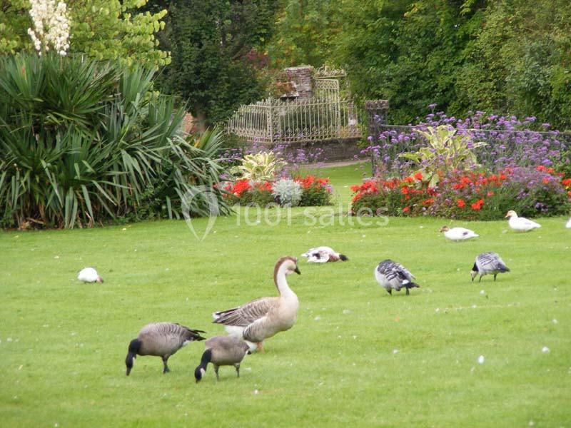 Location salle Mesnières-en-Bray (Seine-Maritime) - Château De Mesnières En Bray #16