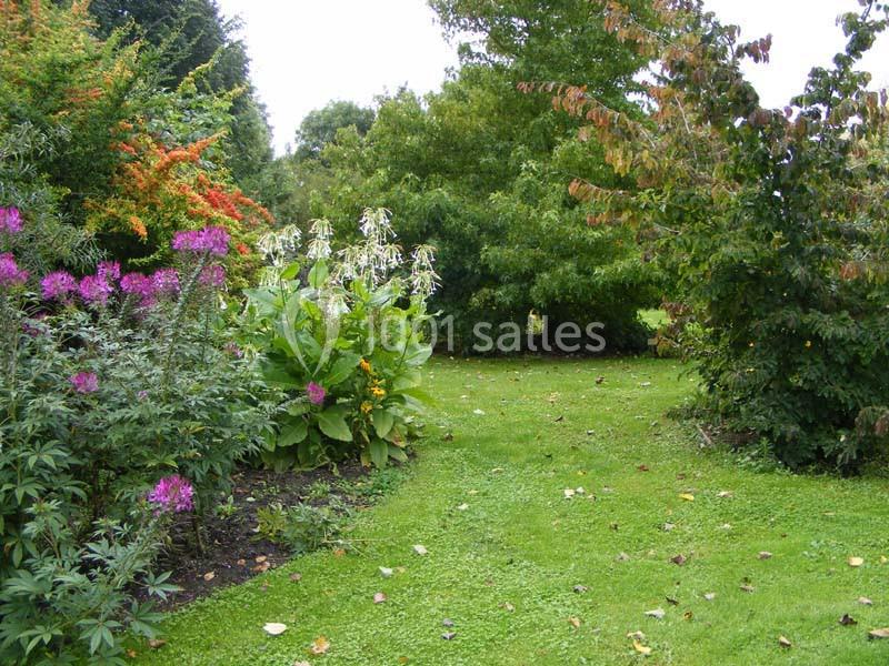 Location salle Mesnières-en-Bray (Seine-Maritime) - Château De Mesnières En Bray #17