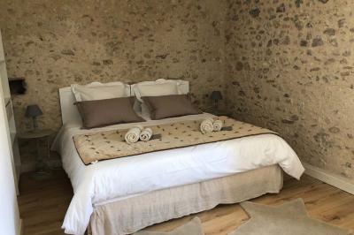 Allée de gravier bordée de rosiers roses en fleurs, entourée de pelouse et d'arbres en arrière-plan.