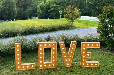Allée de gravier bordée de rosiers roses en fleurs, entourée de pelouse et d'arbres en arrière-plan.