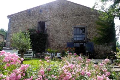 Allée de gravier bordée de rosiers roses en fleurs, entourée de pelouse et d'arbres en arrière-plan.